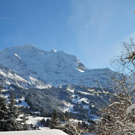 Fortuna By Interhome Apartman Wengen