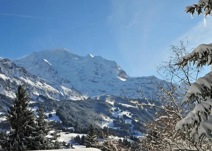 Fortuna Apt-m By Interhome Apartman Wengen